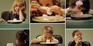 Marshmallow Test